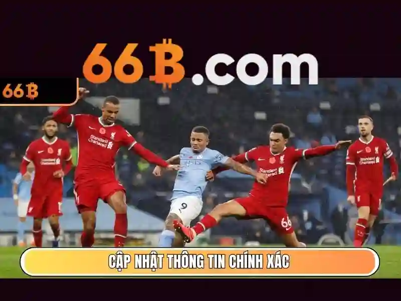 Tổng quan chính sách miễn trừ trách nhiệm tại nhà cái 66b